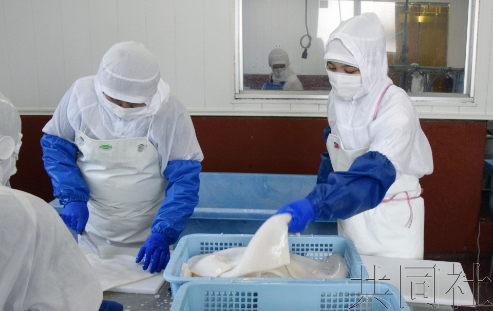 日本25日起受理留学生等接纳方的入境申请