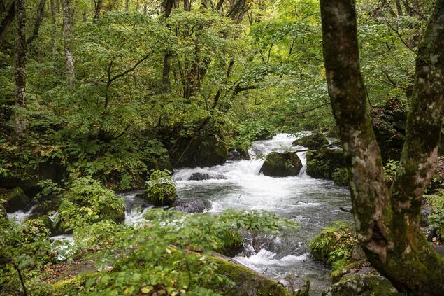 日环境省设立国立公园魅力传播实验室强化宣传
