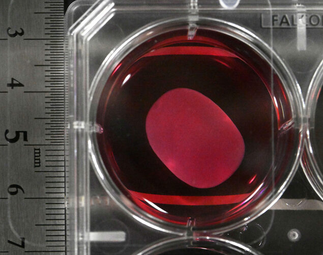 简讯：iPS细胞再生医疗产品在日获批 开创全球先河