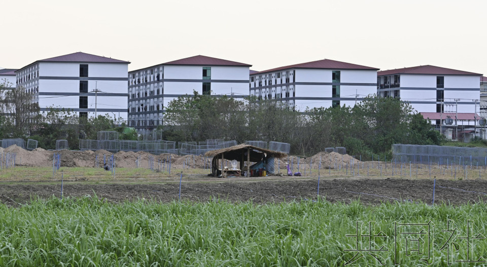 独家：缅甸电诈窝点多名外国人出逃 包括10名日本人