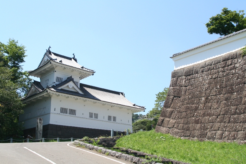 日本首次新型变异毒株