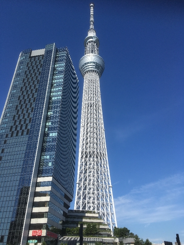 日语能力分班考试现场