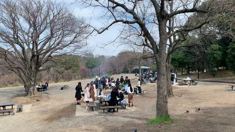 申丰国际学院３月戸外活动