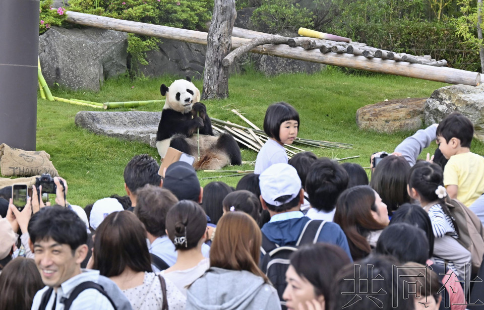 日本民众与即将进入隔离检疫期的大熊猫惜别