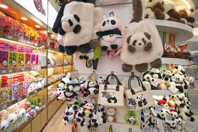 聚焦：中国扩大“熊猫外交”布局 日本却陷熊猫清零