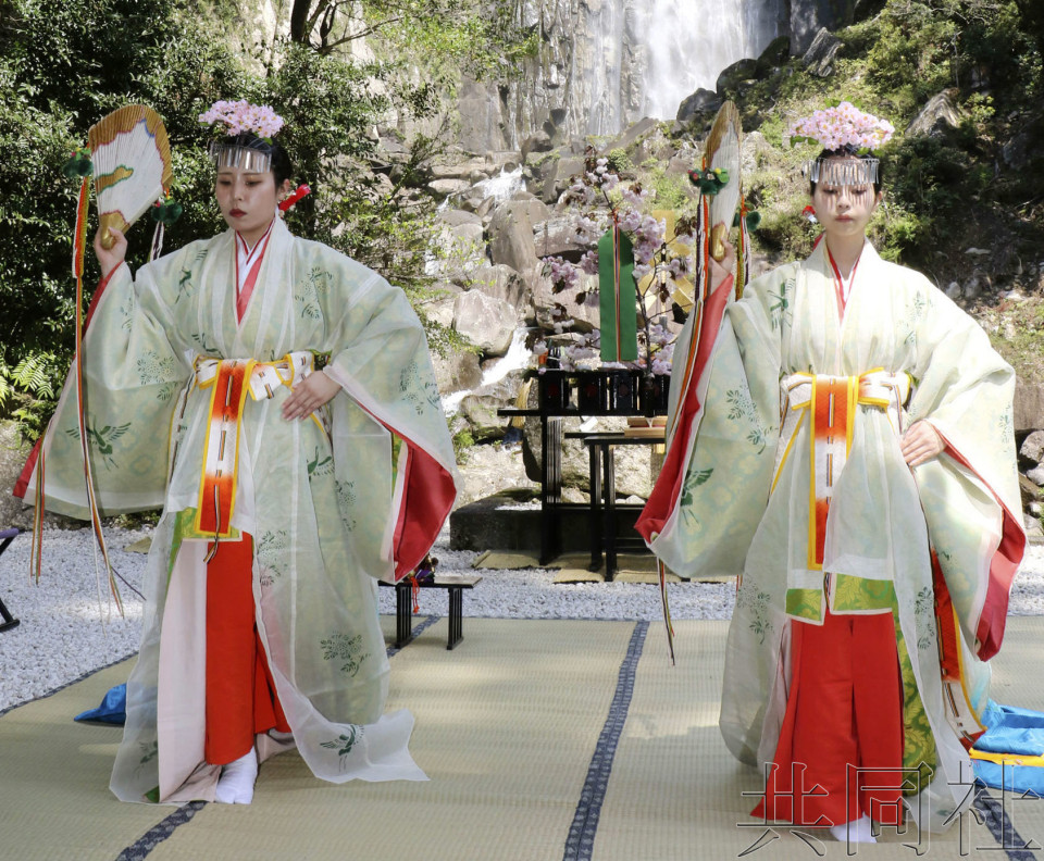 熊野那智大社举办“樱花祭” 巫女优雅起舞
