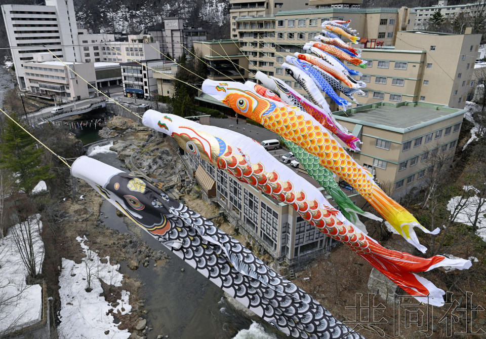 札幌定山溪温泉约400面鲤鱼旗迎风飘舞