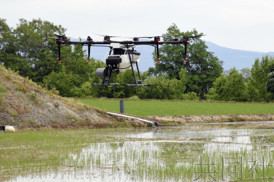 农水省将把握外国人取得农地的情况