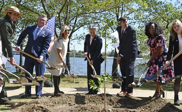 日本赠送的樱花树苗植树仪式在华盛顿举行 象征日美友谊