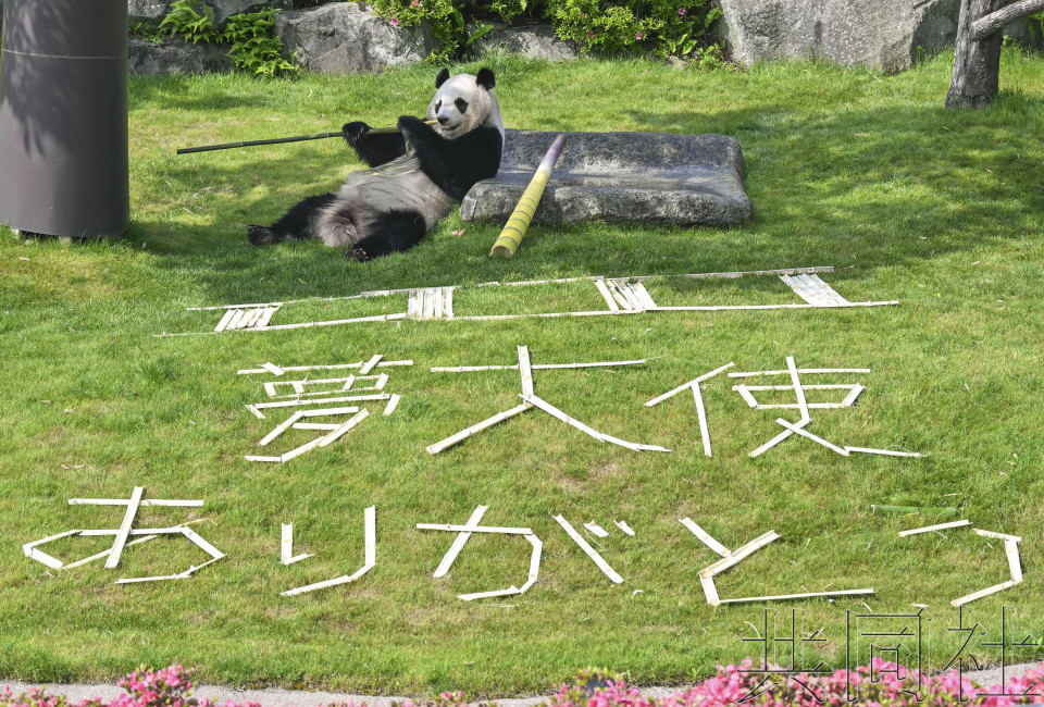 和歌山警方感谢大熊猫姐妹协助宣传交通安全