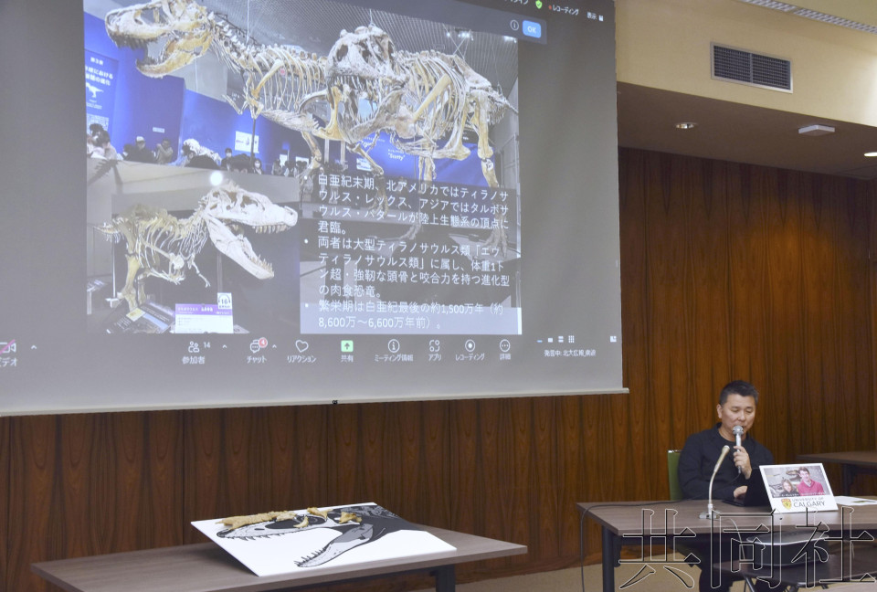 北海道大学团队发现暴龙体型随迁徙而巨大化