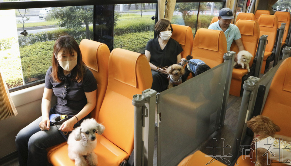 话题：巴士和铁路公司摸索应对带宠物旅游需求