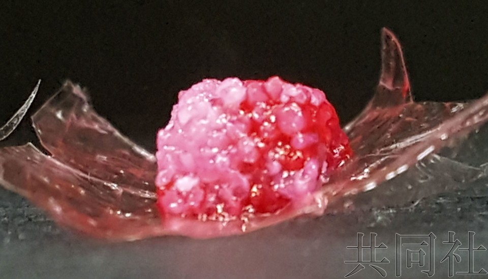 大阪大学和岛津力争用3D打印机制出雪花牛肉