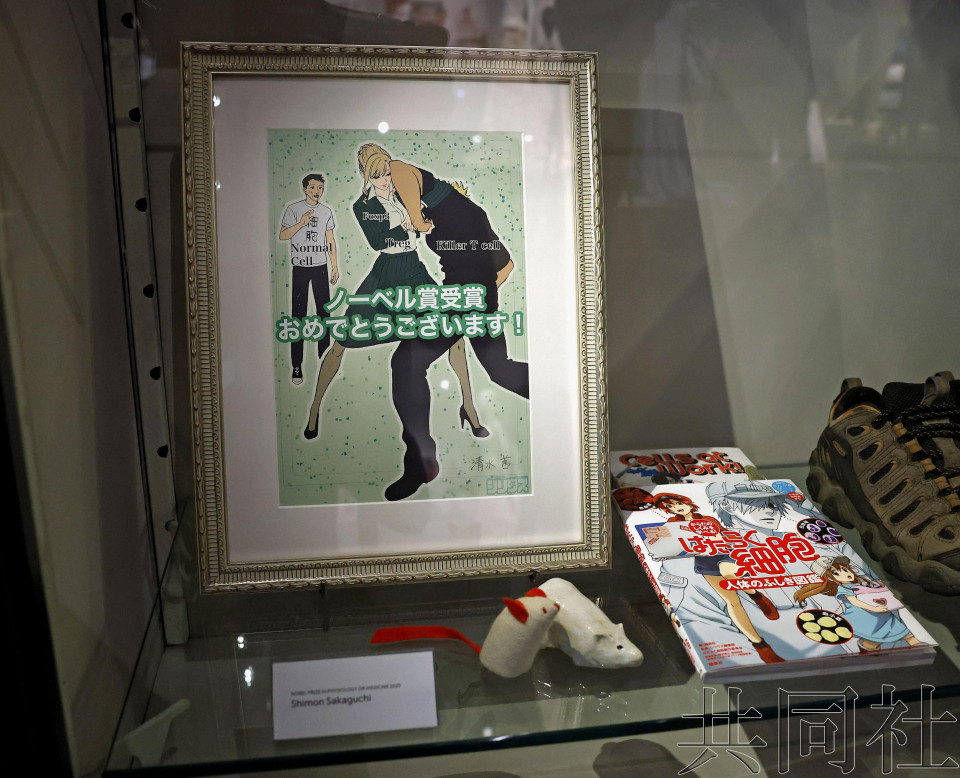 诺贝尔博物馆展出历届日本获奖者捐赠品