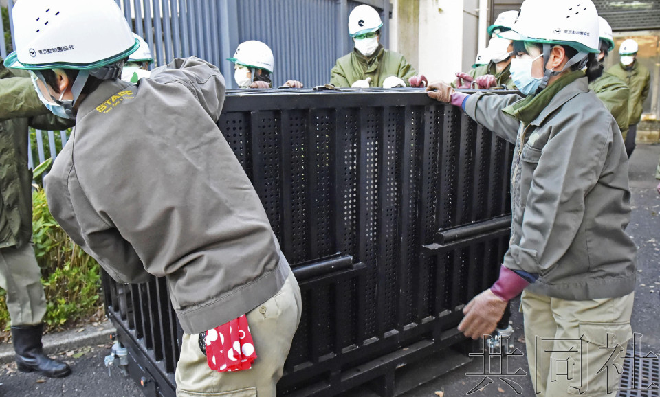 大熊猫“香香”乘包机抵达中国四川