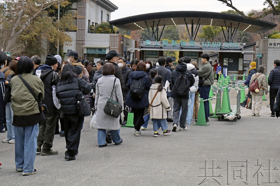 上野动物园周末现排队人潮 民众在寒风中等待与熊猫告别