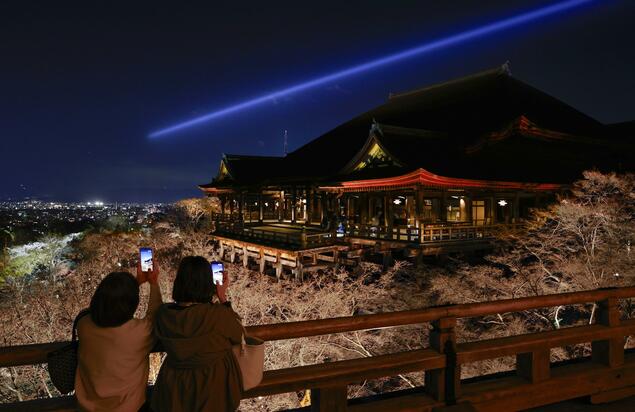京都清水寺将开启春夜点灯 樱花正值花苞初绽