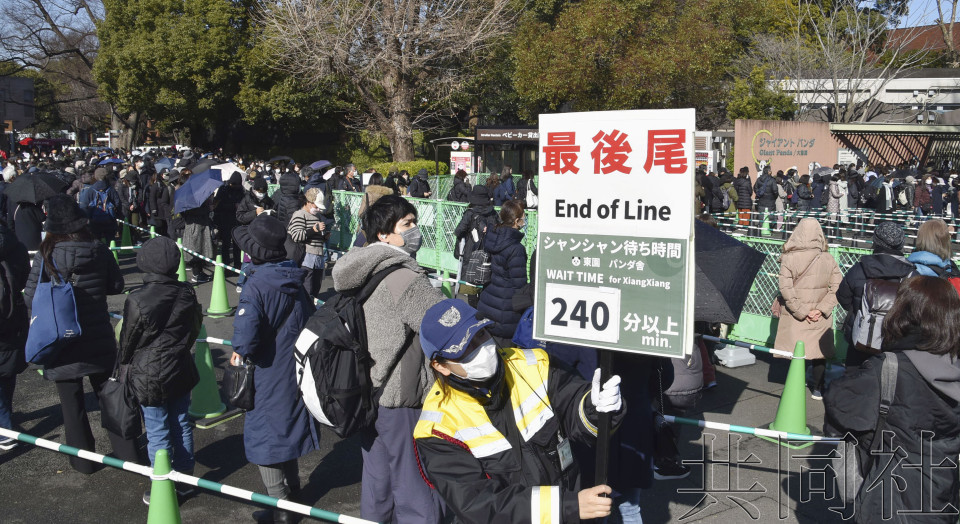 上野动物园排起长队 与大熊猫“香香”告别