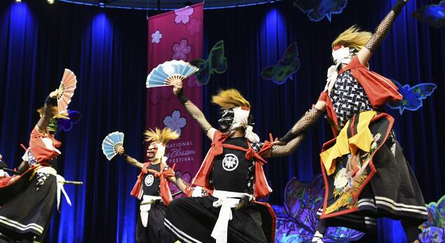 “全美樱花节”在华盛顿开幕 平原绫香献唱