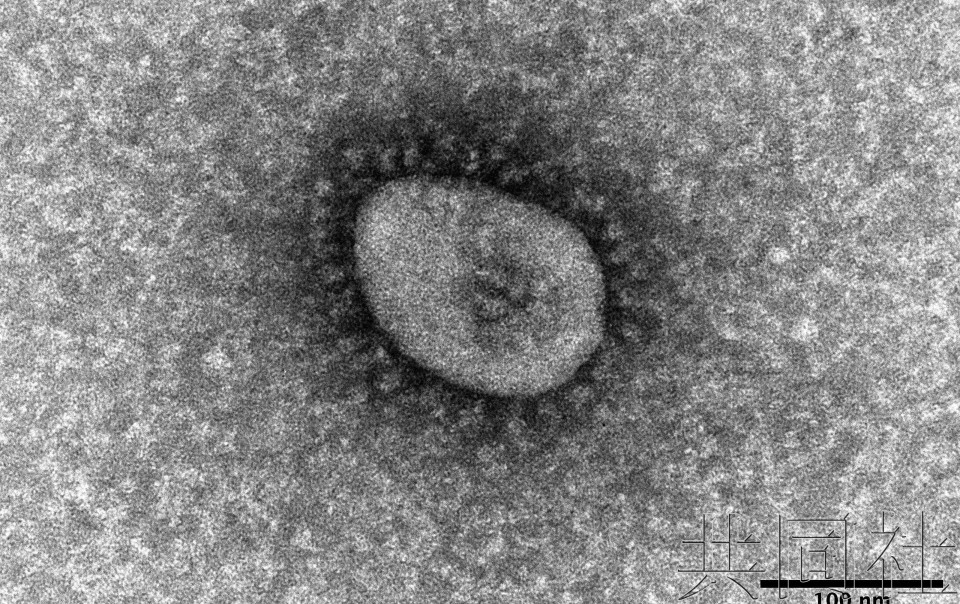 独家：新冠定位降至5类后年死亡数为3.2万人