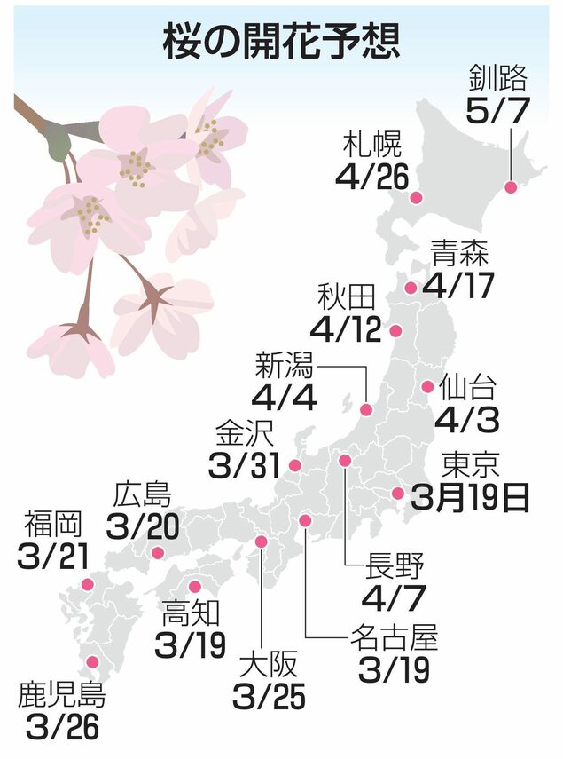 东京樱花预计从3月19日起开花