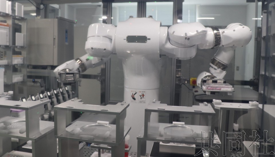 日本团队用AI机器人熟练培养出iPS细胞