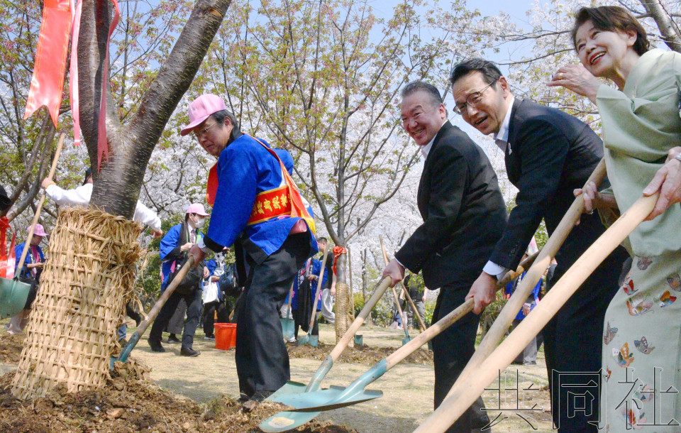 无锡市举行日中樱花友谊林植树活动